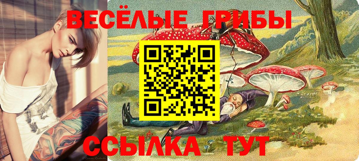 Галлюциногенные грибы MAGIC MUSHROOMS  Вход с VPN  Ачхой-Мартан  Галлюциногенные грибы Psilocybe 