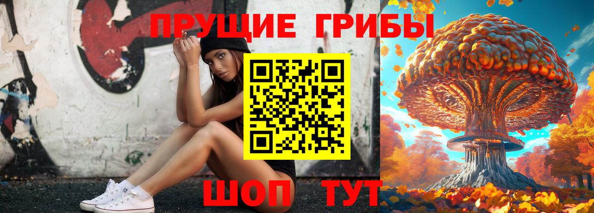 Псилоцибиновые грибы мухоморы Ачхой-Мартан